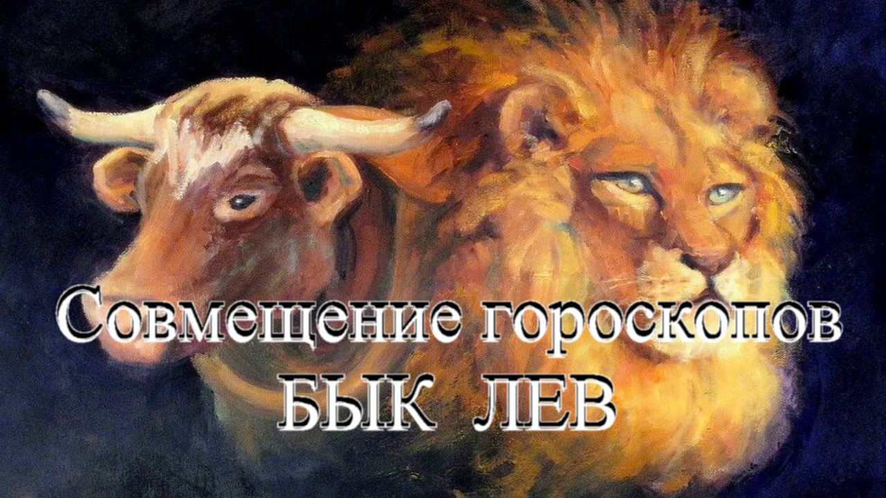 Совместимость мужчины бык лев