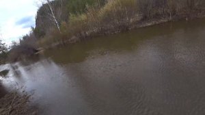 Лесные покатушки на ИЖ ПЛАНЕТА 5 | ВЛОГ