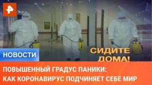 Повышенный градус паники: как коронавирус подчиняет себе мир
