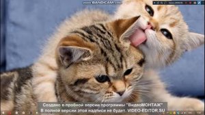 Как сделать так чтобы ярлыки появились на рабочем столе!