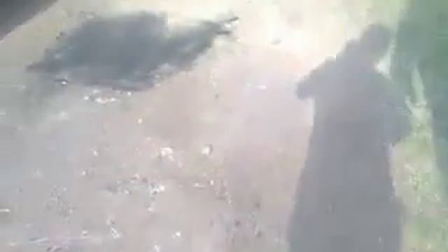 Дарнит смотреть онлайн