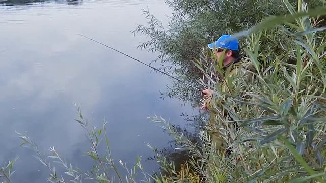 kilka.by смотреть онлайн