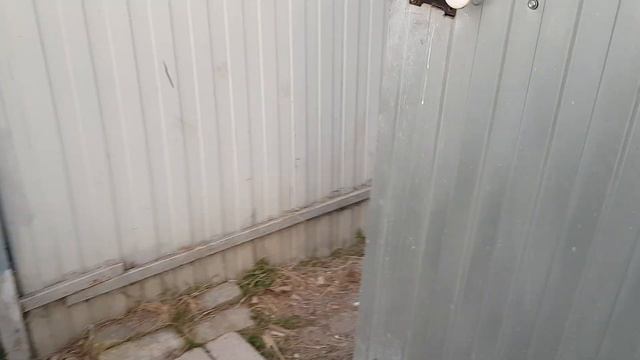 Стойка металлическая , регулируемая , двойная , для собак... Или технологии не стоят на месте.🤣 смотреть онлайн