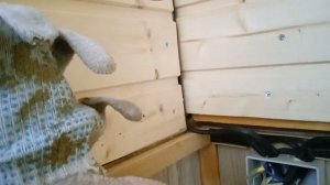 Обшил проем люка на второй этаж.