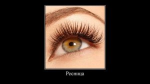 Самые смешные русские слова