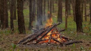 Джамиль Аш-Шишани  Сура Али Имрон 166-173