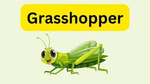 Insects name | Insects for kids | Insects | Insects name in English | kid’s venture |