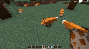 Minecraft 1.14 Snapshot 19w07a New Fox & Snow Fox Added!