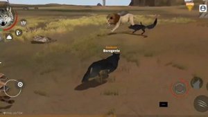 Borogovia's Future Part 8 || Wolf Online 2 Ep277