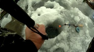Ловля леща зимой. Мормышка снова выручает!