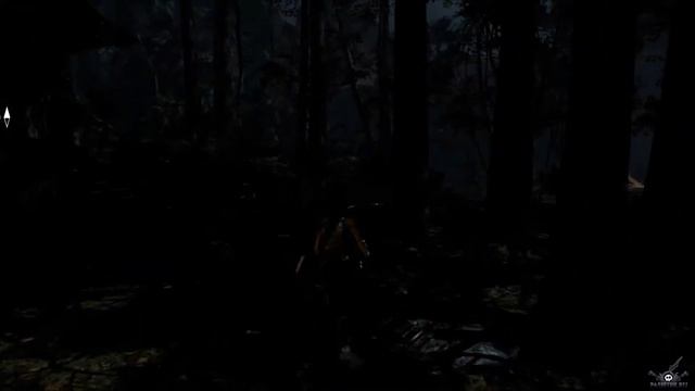 [PC] [10] Прохождение Tomb Raider: Survival Edition