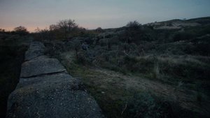 Cartoon Cat vs Cartoon Dog