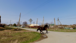 ПВД на "Миусский склон"