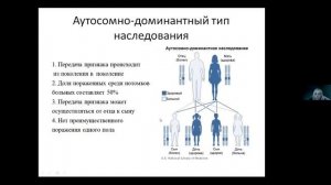 Молекулярно-генетические причины возникновения мерозин-дефицитной мышечной дистрофии