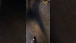 Снятие педали газа Ауди а6с5
