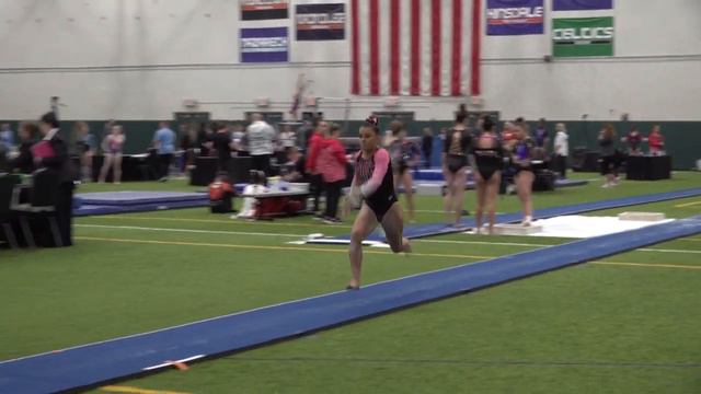 Handspring Front Tuck Clip 134 смотреть онлайн