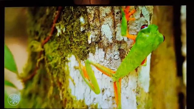 Asus VE278H 27-inch Widescreen LED Multimedia Monitor смотреть онлайн