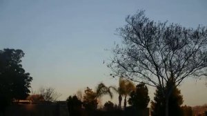 А утки летят уже высоко....