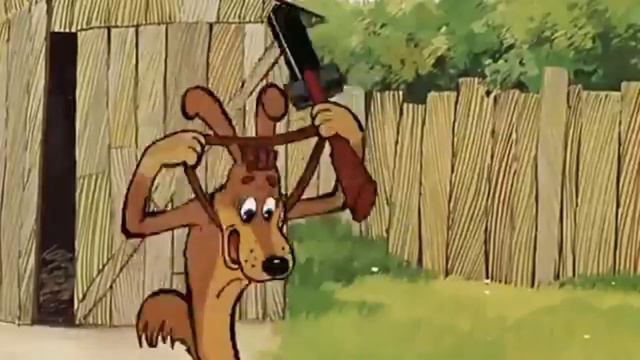 Мифы о библиотекаре