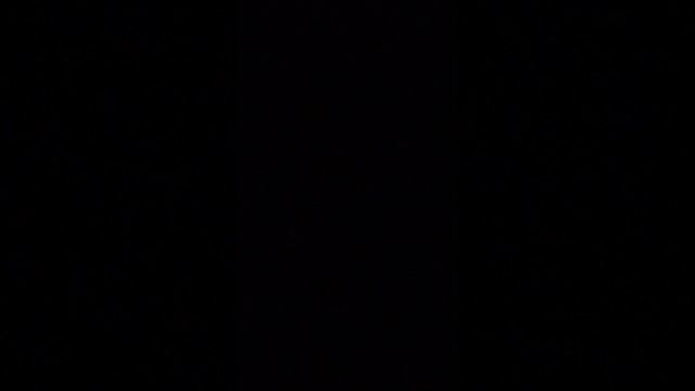 л