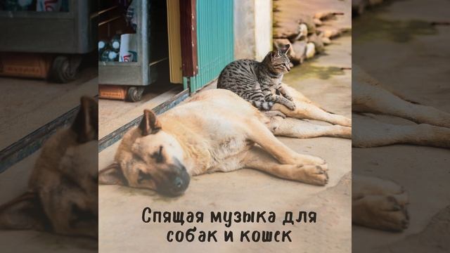 Позитивные эмоции смотреть онлайн