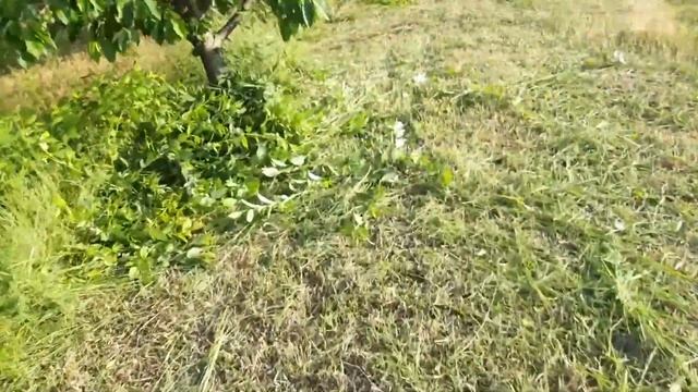 Есть ли смысл покупать дорогой победитовый диск?