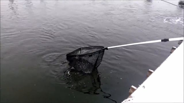 Рыбалка на спиннинг по открытой воде в Савельево-1! 18.02.17 смотреть онлайн