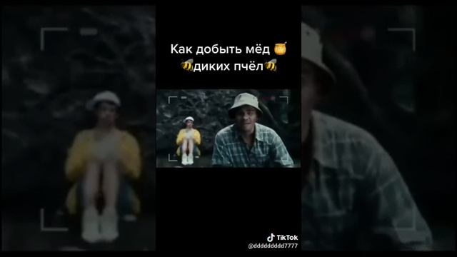 Как добыть мёд диких пчёл.