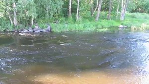 река булатная