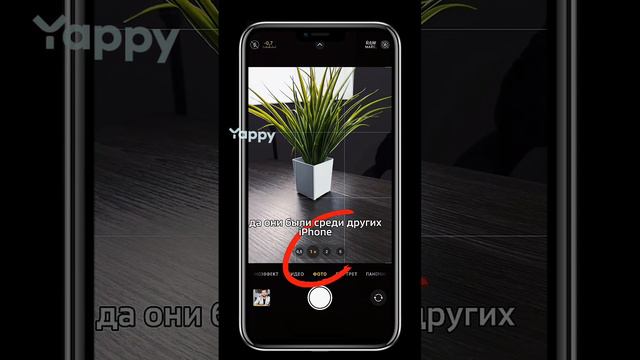 Фишки камеры iPhone 15 Pro/Pro Max