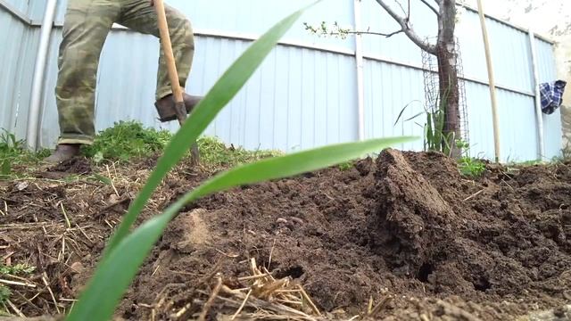 Сюжет из жизни в деревне о том, как я вскопал огород на 2-х участках материнской усадьбы в 2022 смотреть онлайн