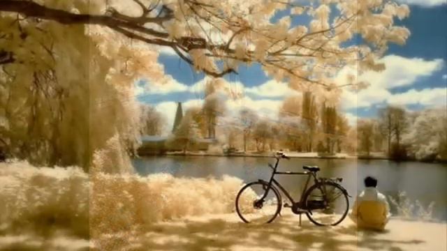 Автор видео, художник - Павел Бондар смотреть онлайн