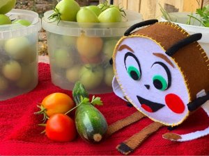 Смогут ли Драм и Вэн спасти помидоры от гусениц!