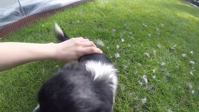 Жалко птенчика смотреть онлайн