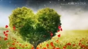 Красивая Дуа для любви Очень сильная Мольба Слушайте каждый день!