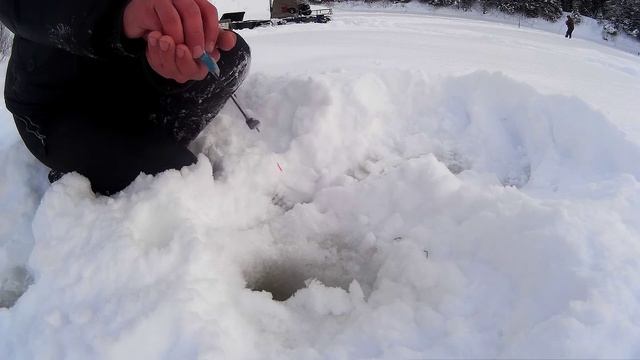 Окунь на мормышку в глухозимье. Подводная съёмка смотреть онлайн