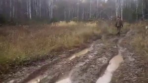 Уаз форвард сафари 510