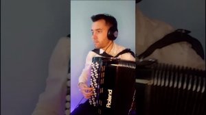Непара - Другая причина (accordion cover)