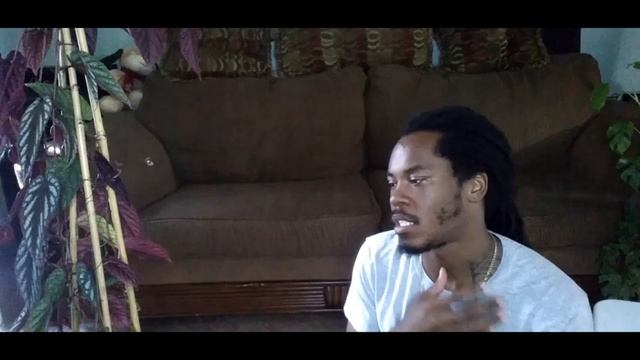 Cissus Discolor - Rex Begonia Vine Care смотреть онлайн