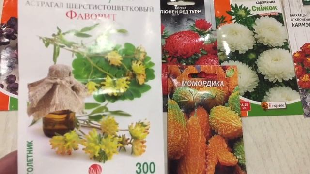 Астрагал - Царская трава будет расти на моей целебной грядке. смотреть онлайн