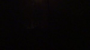 Электрический лифт V=1 м-с, грузоподъемность 320 кг (2379)