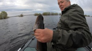 Ловля щуки на вертушки. Рука-щука в действие) Рыбалка на Ильмене 2022. Рыбалка на щуку.