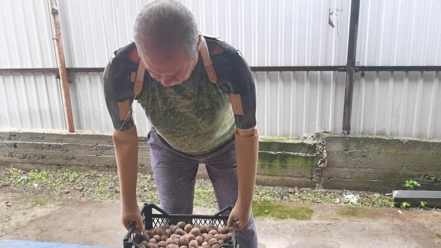 СКОЛЬКО КИЛОГРАММ - МОЖНО ПОДНЯТЬ ПРОТЕЗАМИ смотреть онлайн