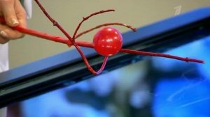 Повторное вскрытие. Андрей Миронов. Здоровье. Фрагмент выпуска от 03.08.2014