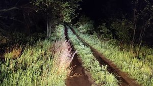 Сигнал Radiant Mega Elegance Horns, 125 дБ.