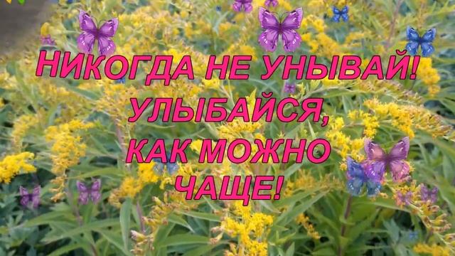 С ДНЕМ РОЖДЕНИЯ, МАМОЧКА! Нежная музыка, трогательные слова! смотреть онлайн