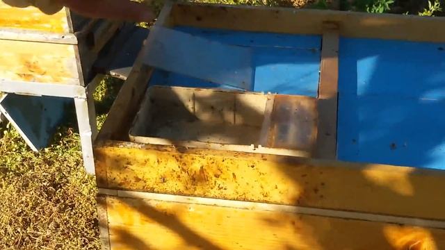 Пролетно подхранване на пчелните семейства 15.04.2016 смотреть онлайн