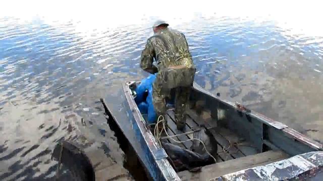 Гигантский сом смотреть онлайн