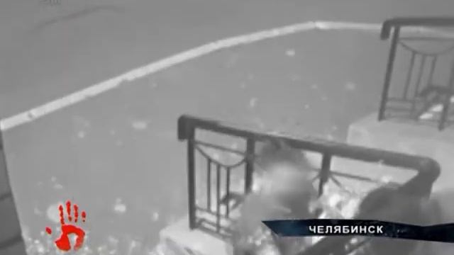 Наглость молодой пары, которая похитила цветы, возмутила владельцев магазина смотреть онлайн