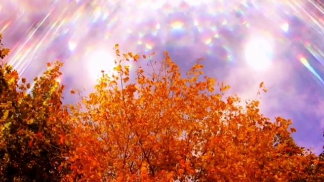 ОСЕННИЕ РАЗДУМЬЯ смотреть онлайн